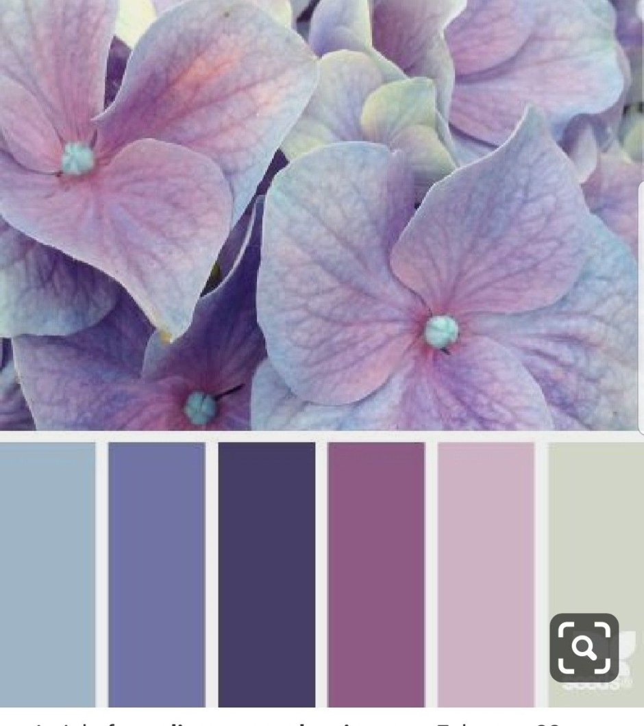 Purple color palette