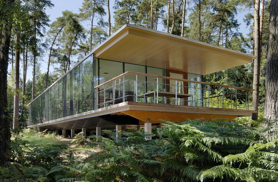 House in forest modern