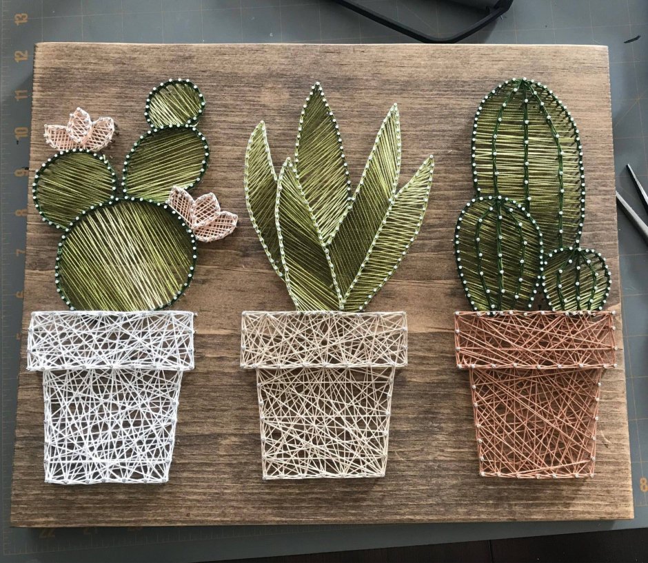 Plants crafts