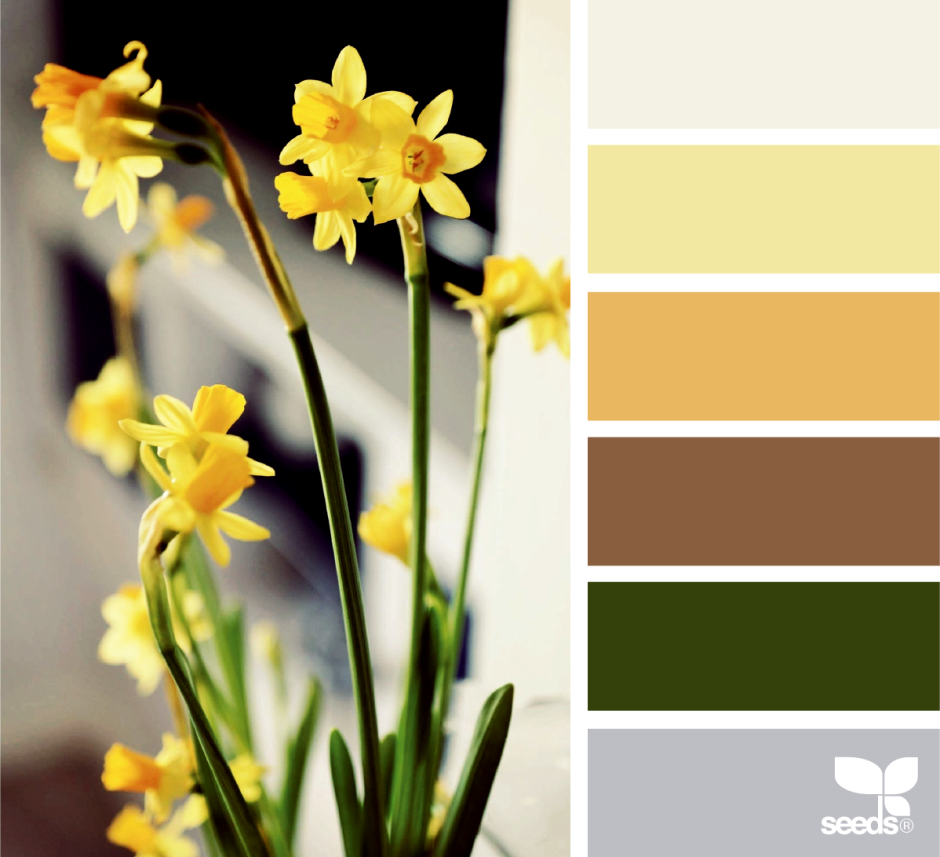 Yellow olive color