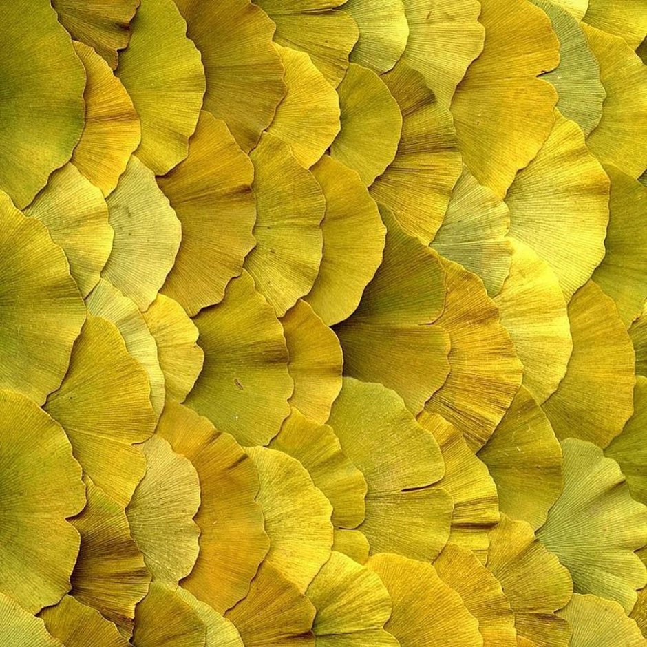 Nature color patterns