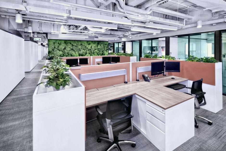 Office interior plant