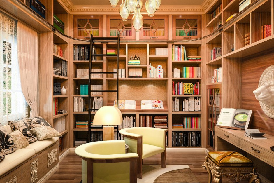 Bookshelves in home