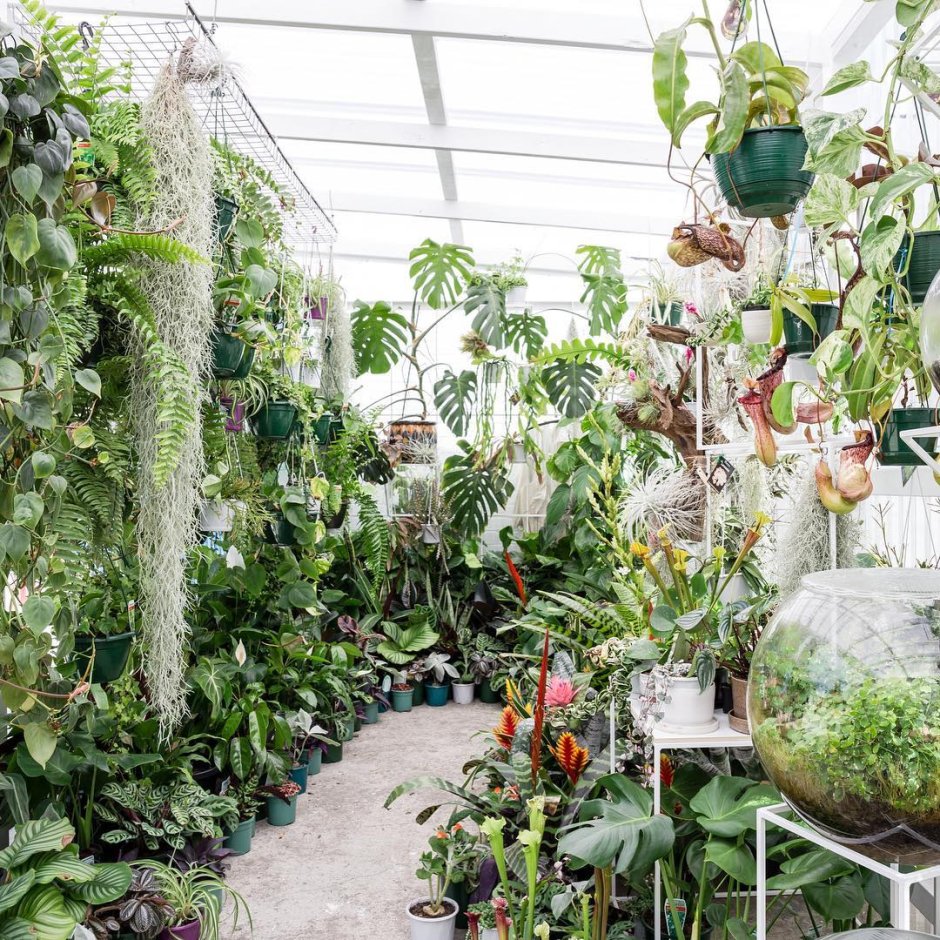 Indoor planting greenhouse