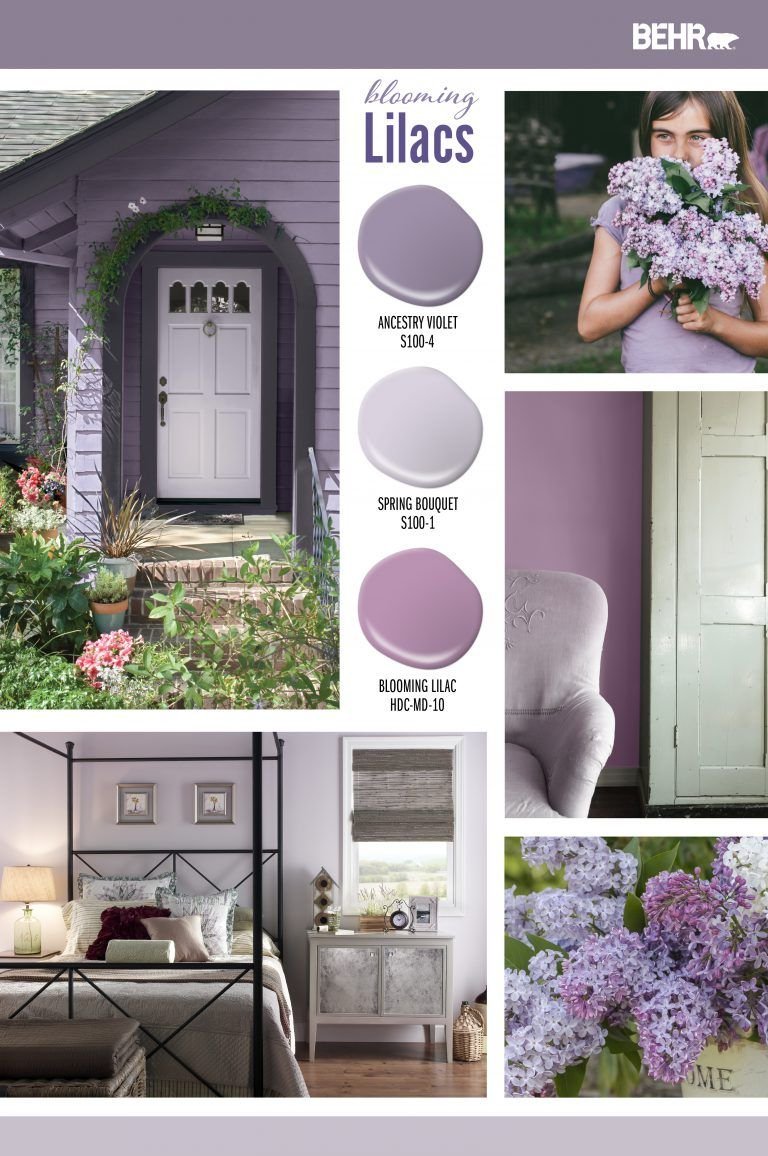 House with lilac