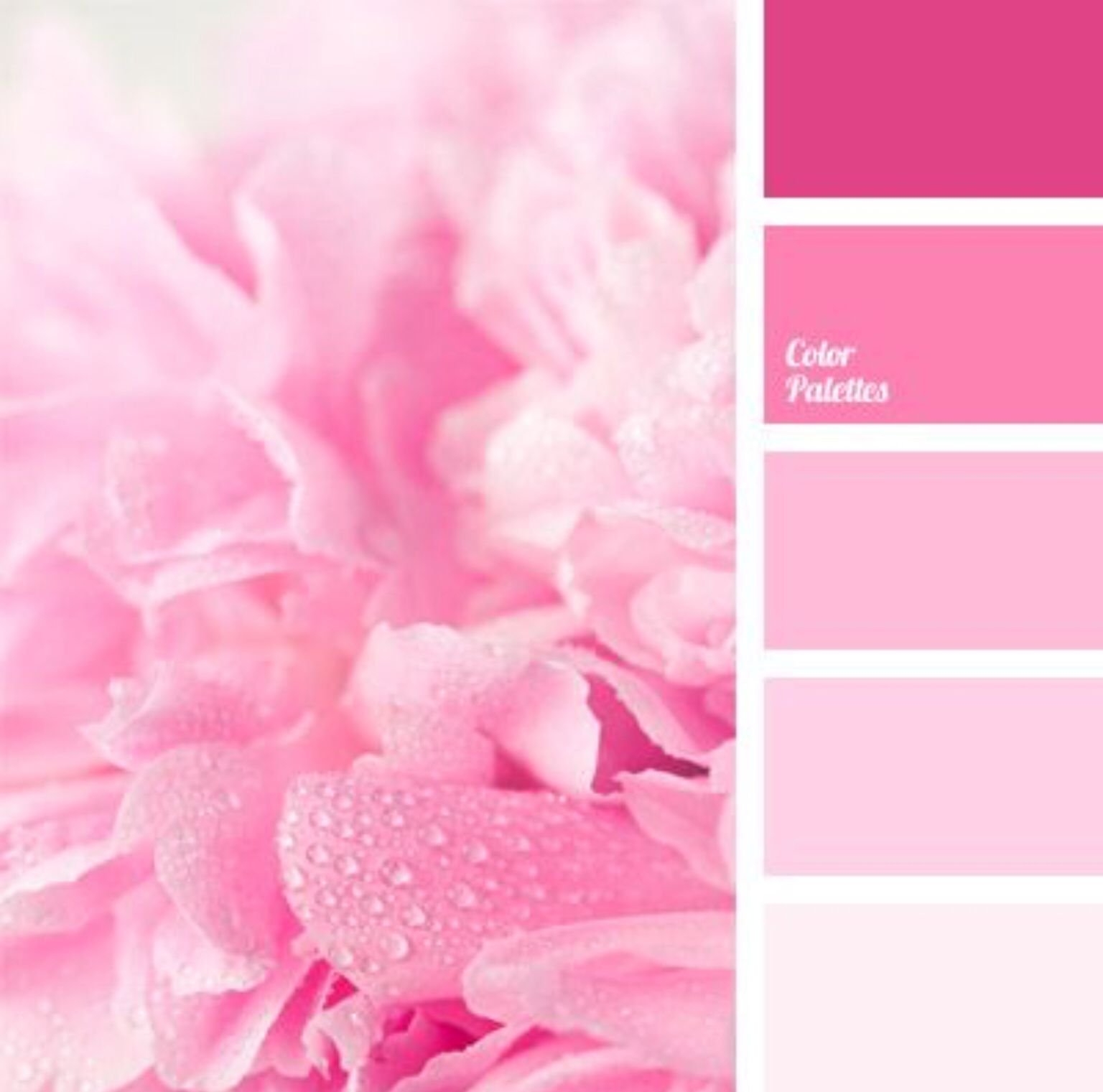 Bh warna pink - 63 photo