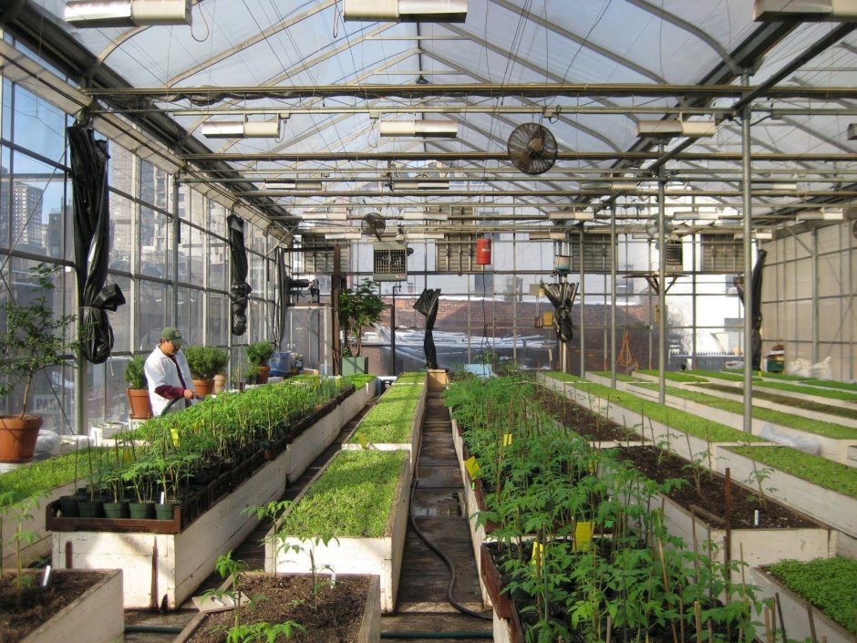 Urban garden farm