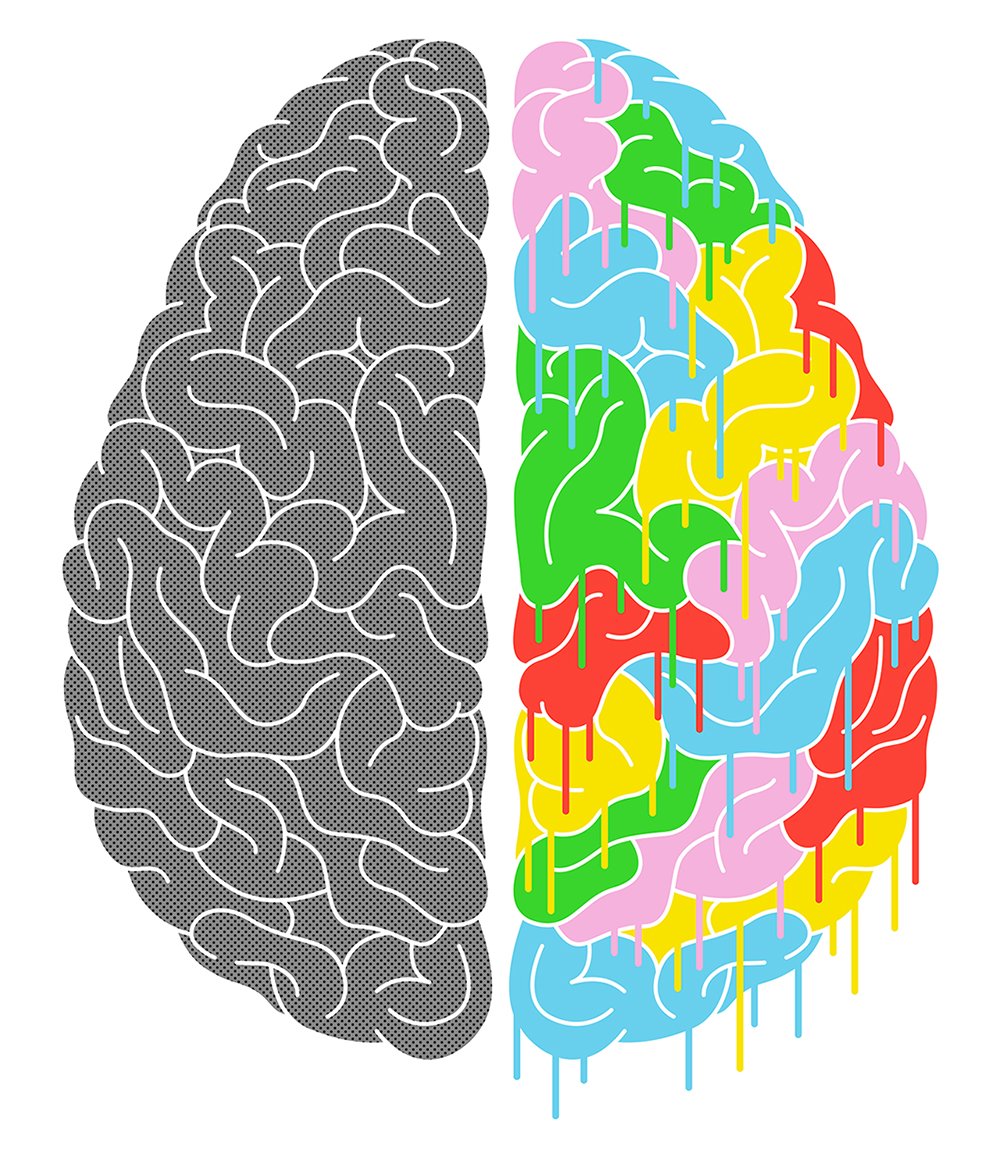 Творчество полушарие. Полушария мозга. Мозг человека полушария. Латерализация полушарий мозга. Разноцветный мозг.