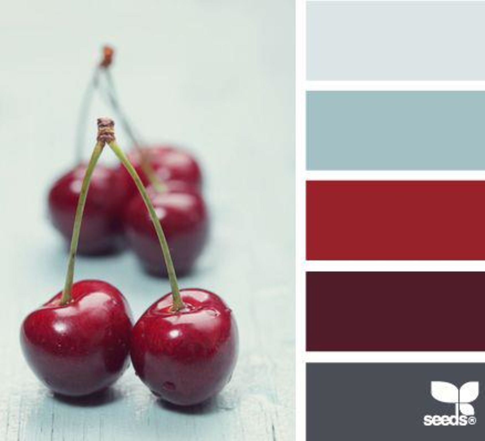 dark cherry Color Palette