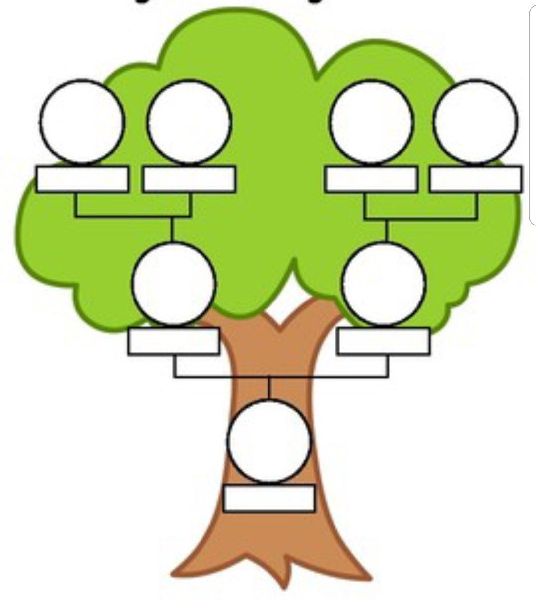 Английский язык дерево проект. Семейное дерево (my Family Tree). Трафарет семейного дерева. Семейное дерево на англ. Семейное дерево рисунок.