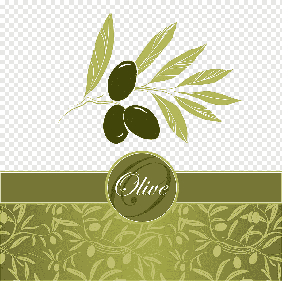 Olive oil leaf