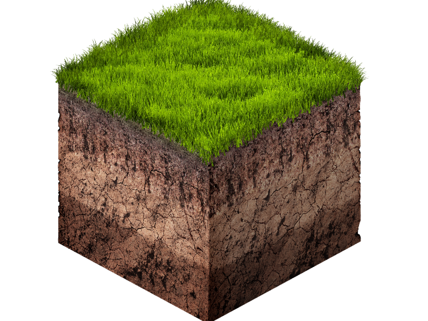 Сегмент земельных участков. Кусок земли. Кусок земли с травой. Почва с травой. Срез почвы.