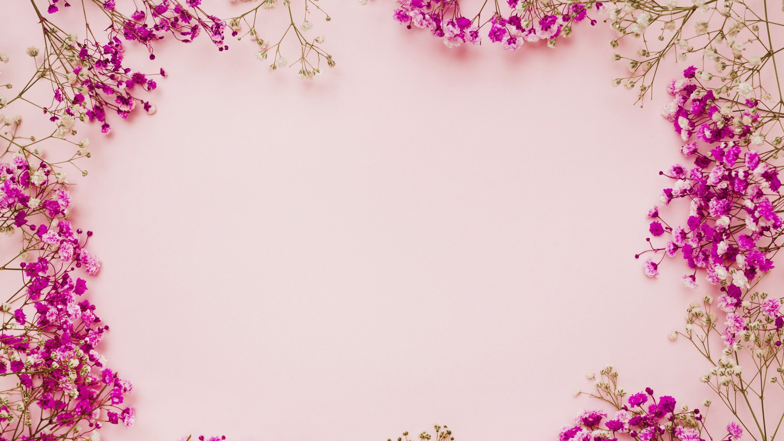 Light pink floral background - 70 photo
