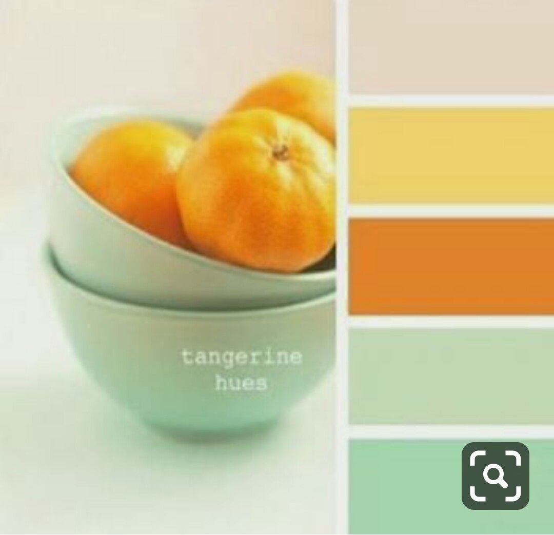 Orange Color Inspiration