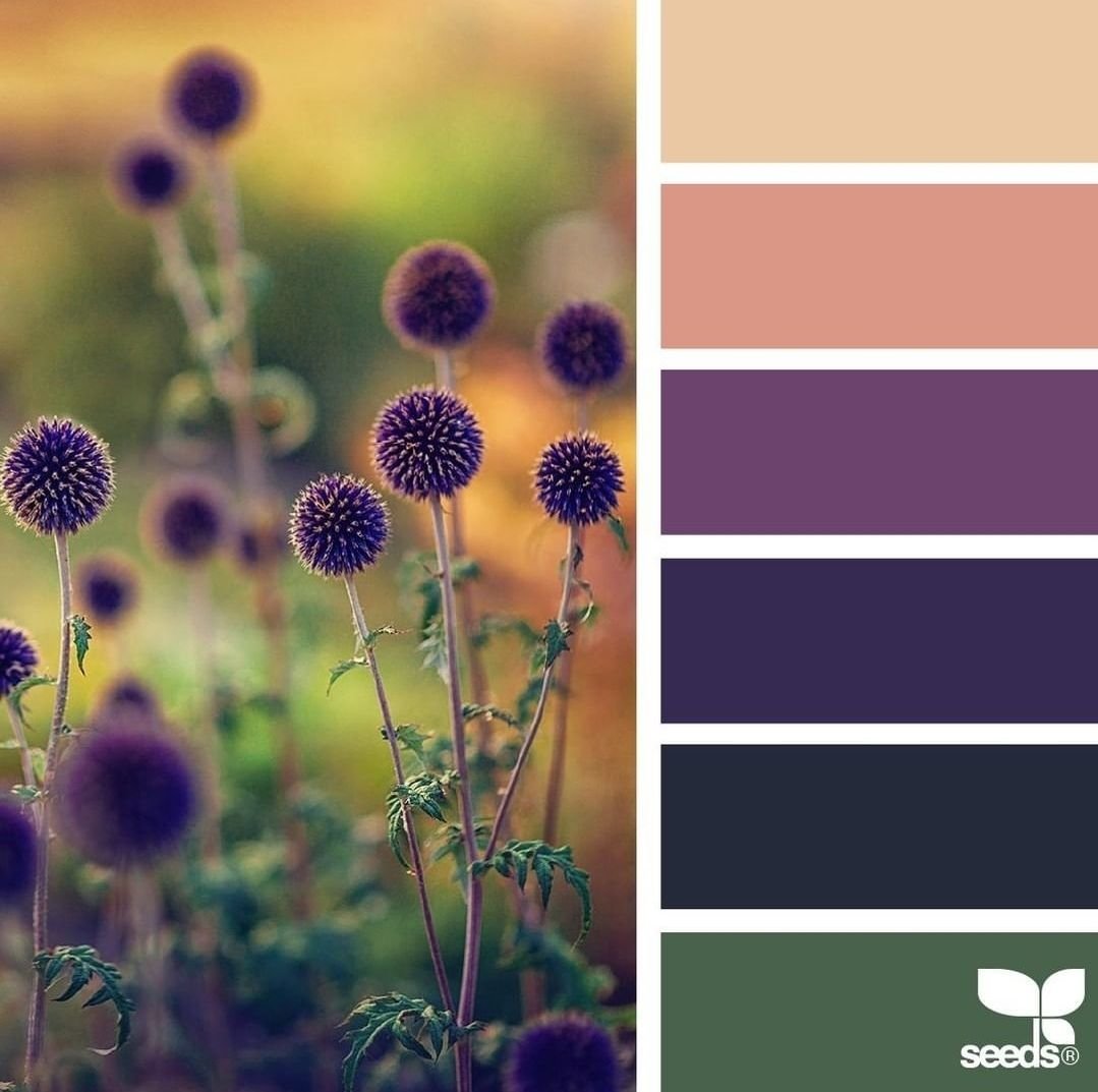 Color Set  Sunset color palette, Design seeds color palette, Seeds color