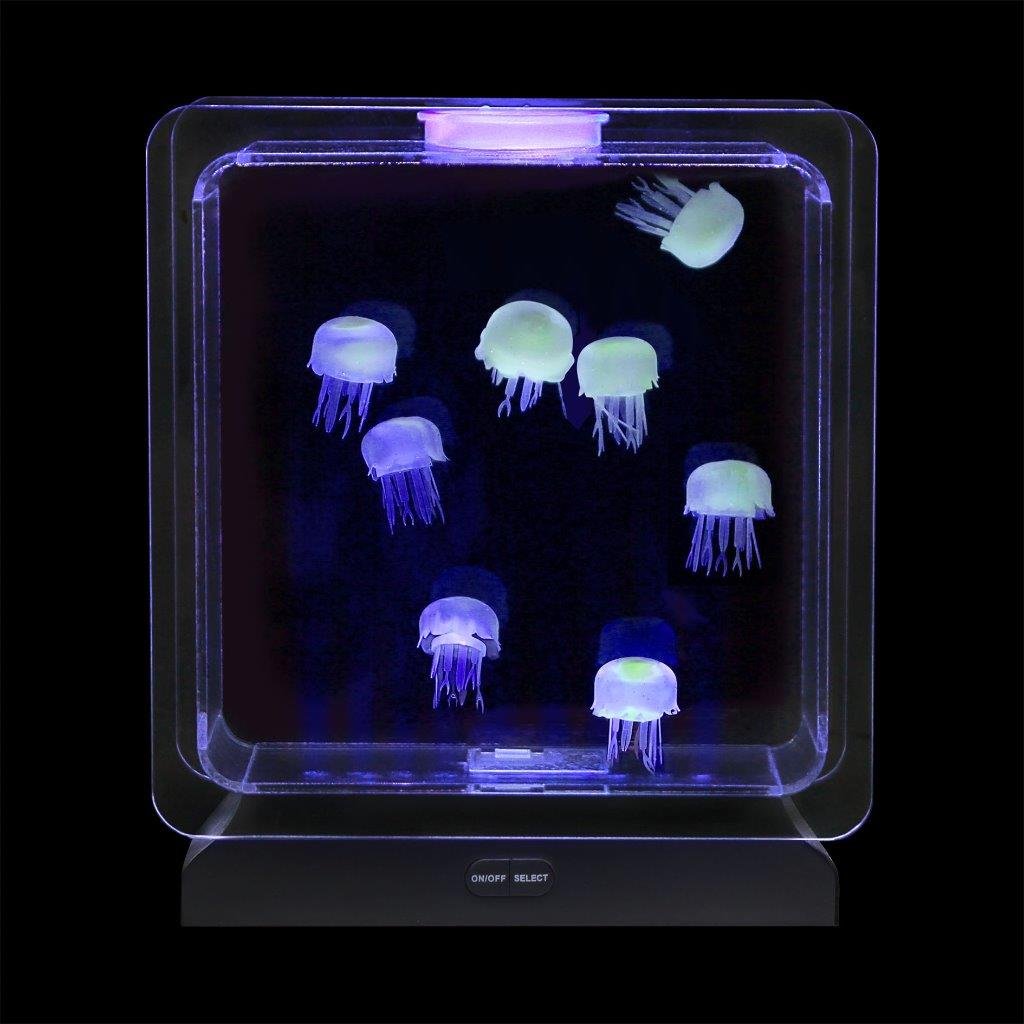 Медуза живая купить. Jellyfish Art аквариумы. Аквариум медузятник. Домашний аквариум с медузами. Мини аквариум с медузами.