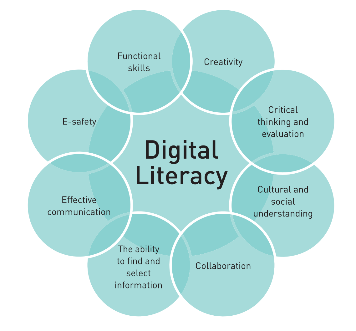 Work components. Digital Literacies. Digital Literacy skills. Digital Literacy what is it. Source of information иллюстрация.