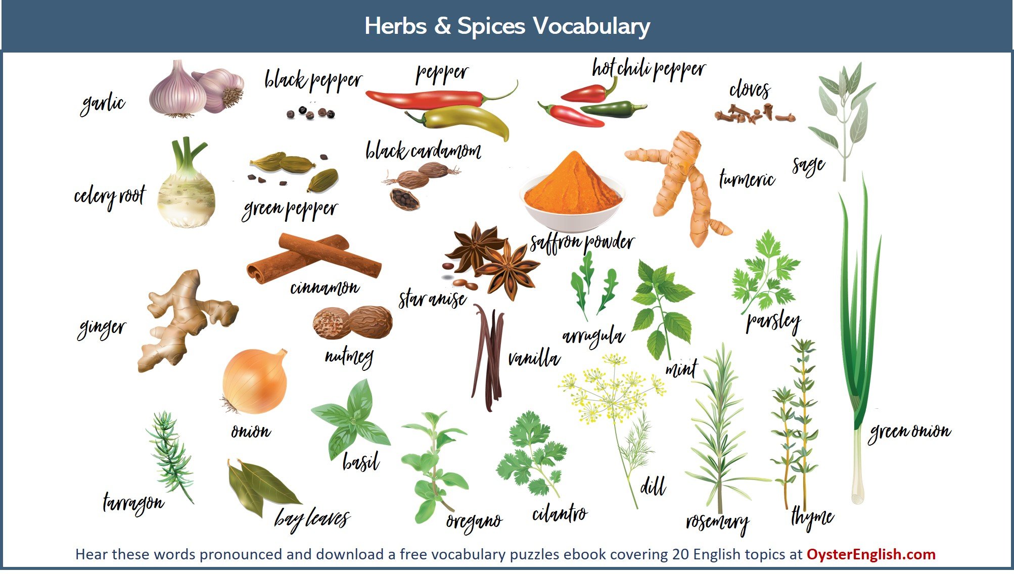 Plants kinds. Herbs and Spices на английском. Специи Herbs Spices. Пряные травы и специи названия. Приправы на английском.