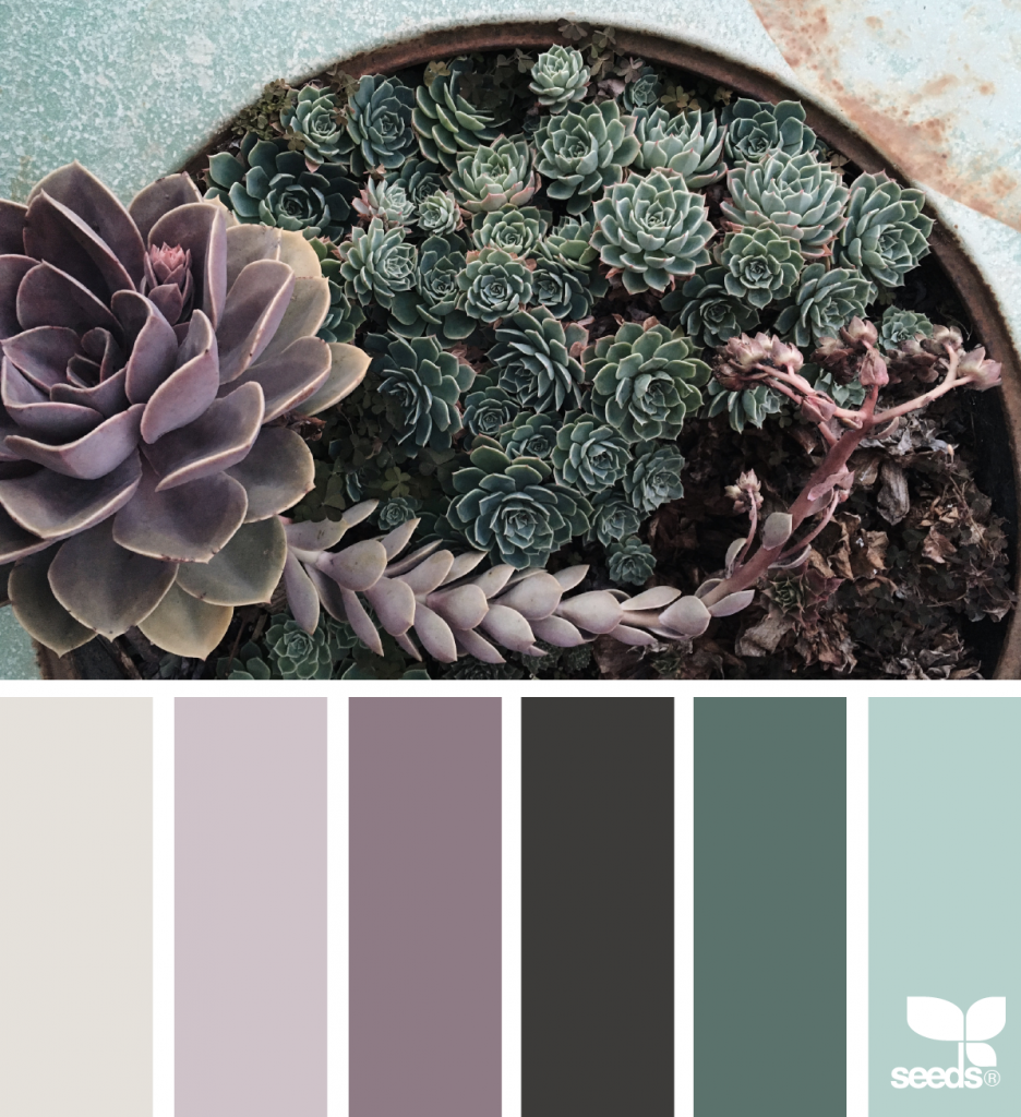 Grey color palette