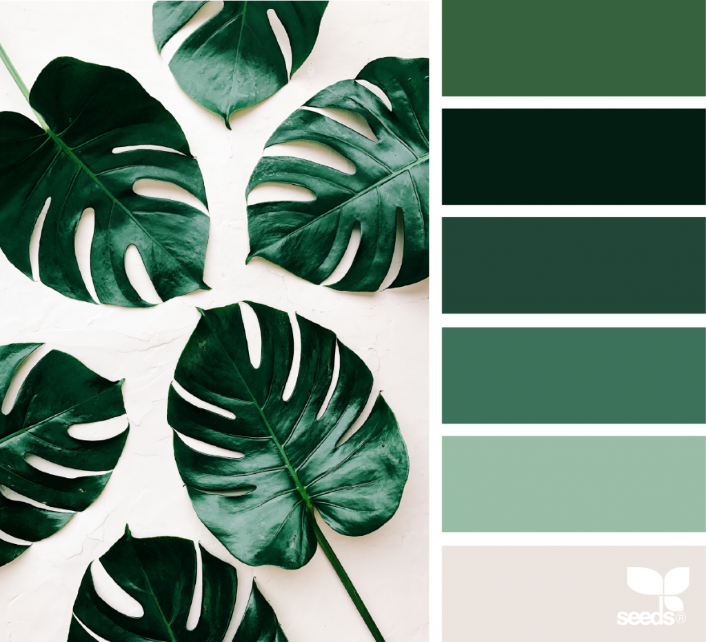 leaf green  Color Palette Ideas