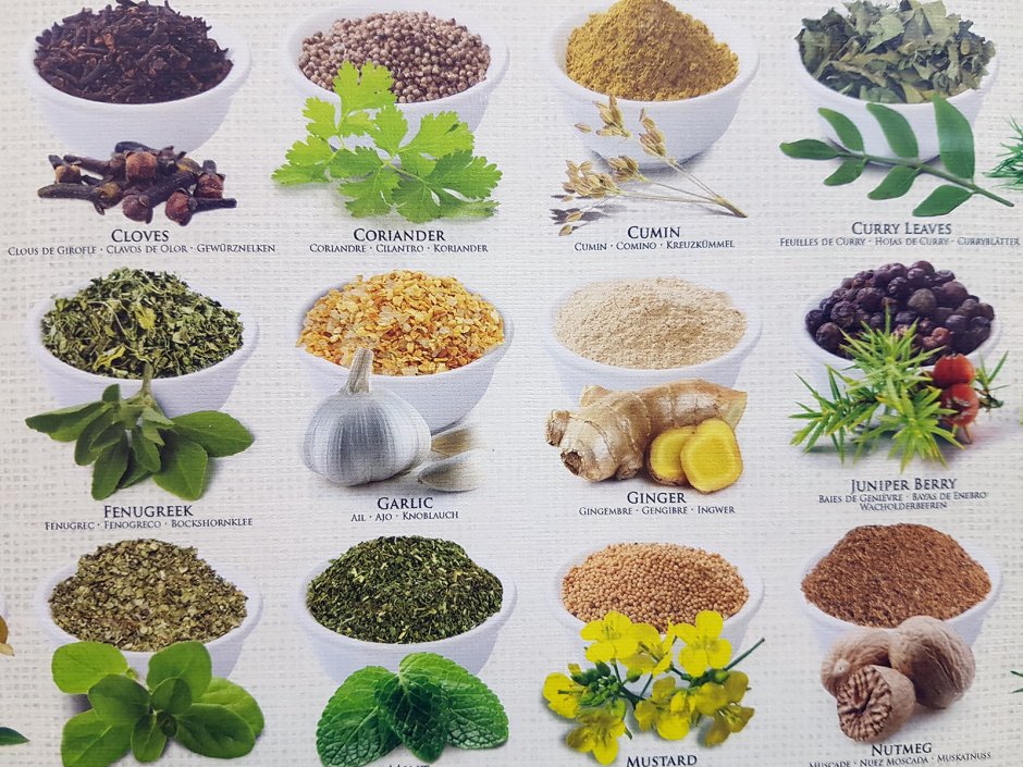 Herbs in english