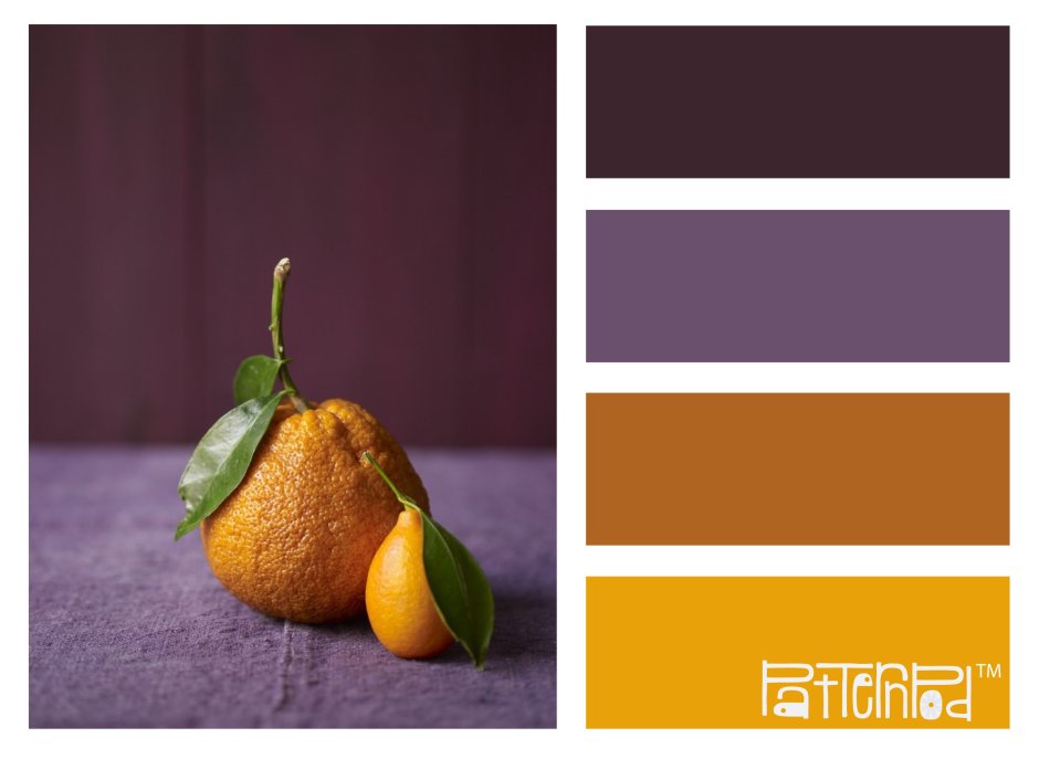 Purple and yellow colors palette