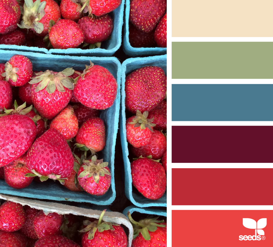 Strawberry color palette