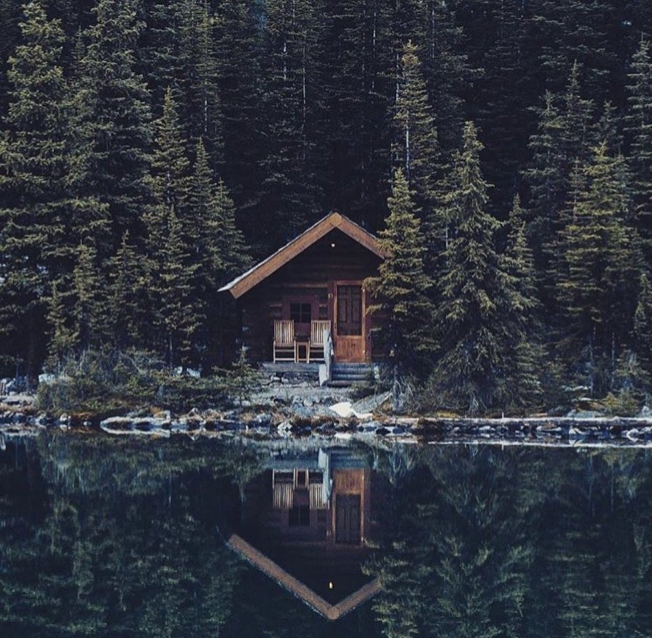 Cabin in the woods lake