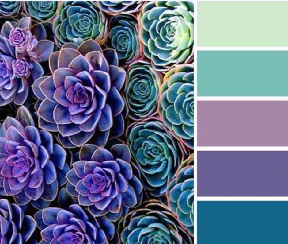 Purple blue color palette