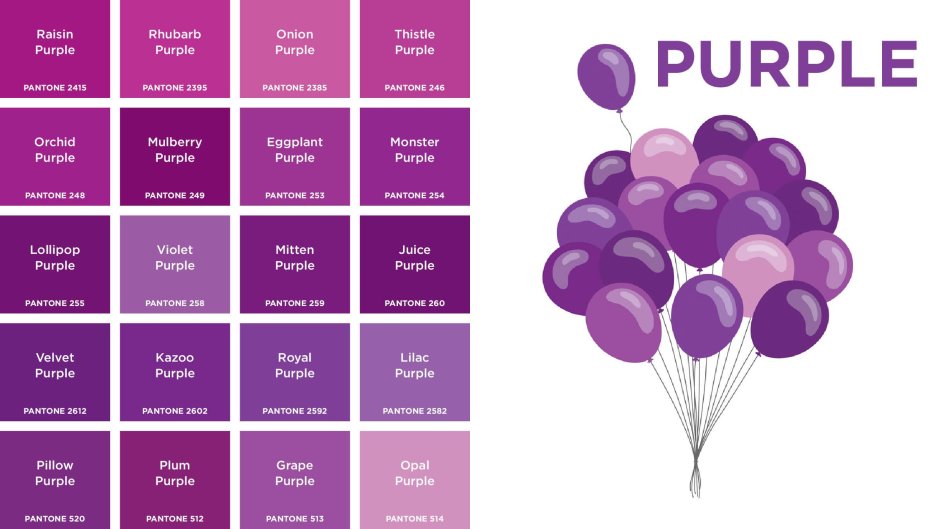 Violet color vs purple