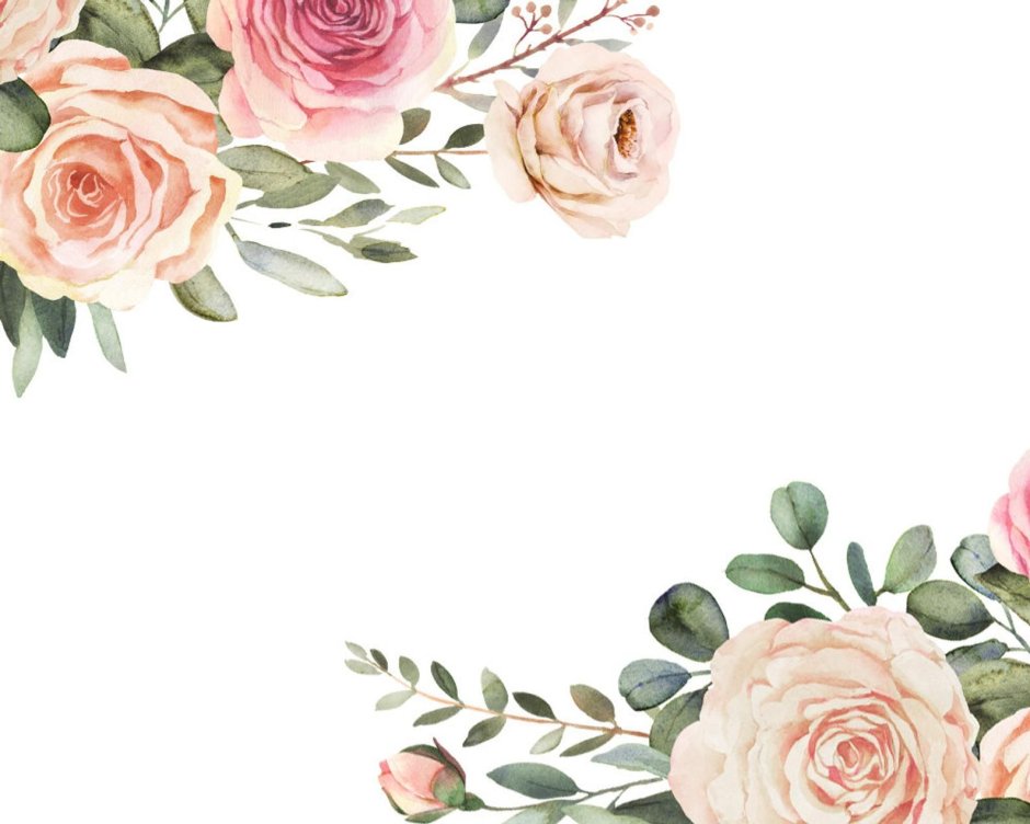 Rose background gray