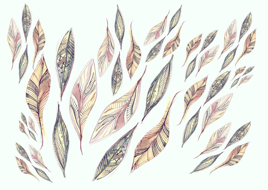 Feather quill