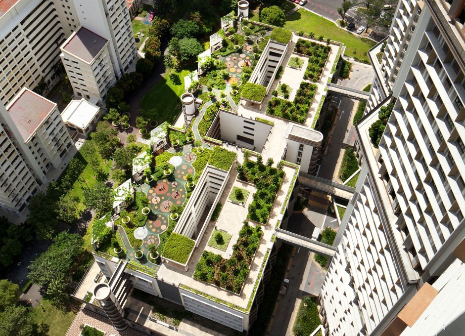 Rooftop garden of building