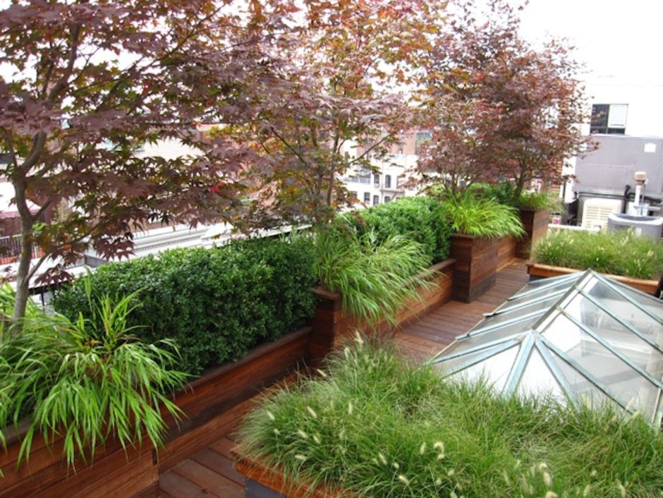 Noble Rot - Rooftop Garden