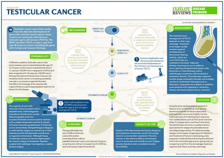 Epidemiological studies cancer