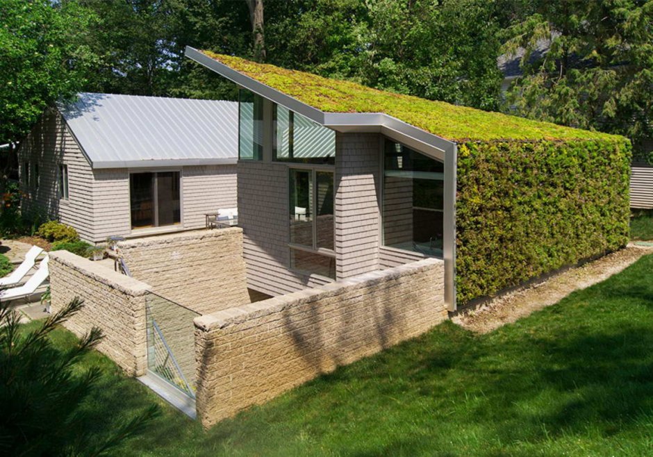 Green roof grass