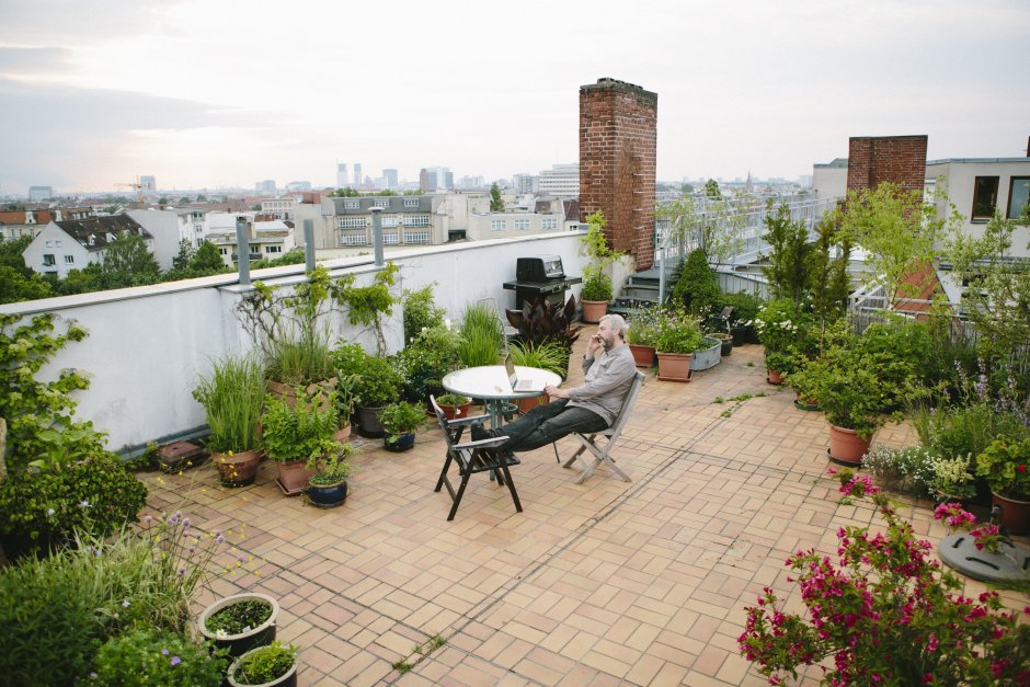 Urban roof garden