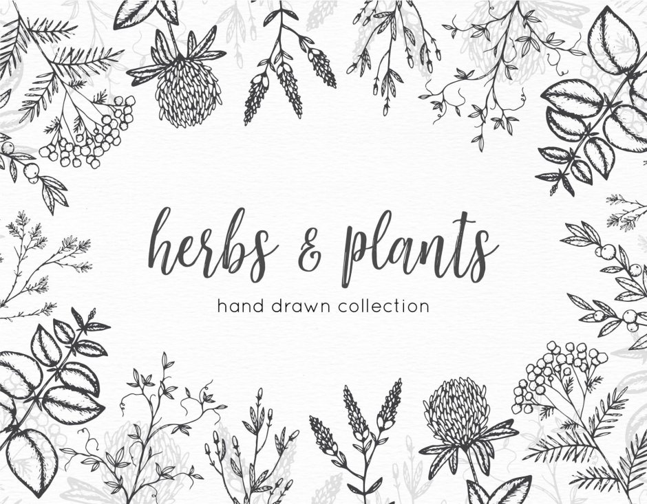 Herbs embroidery