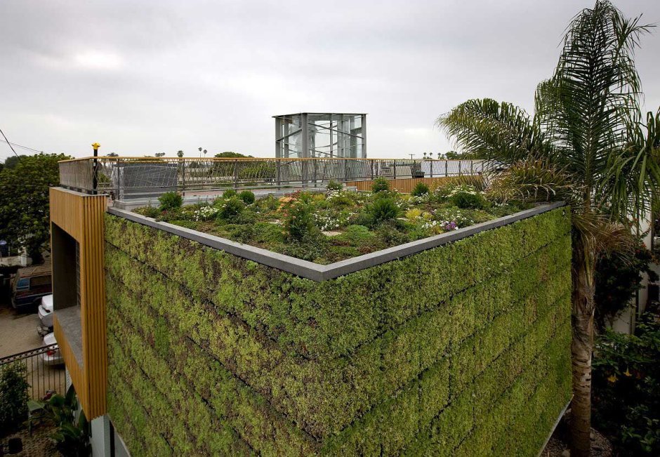 Green roof residential