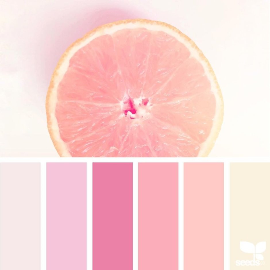Pastel colors palette pink