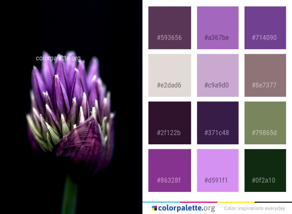 Gray and purple color palette