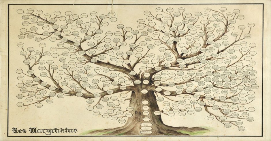 Genealogic tree