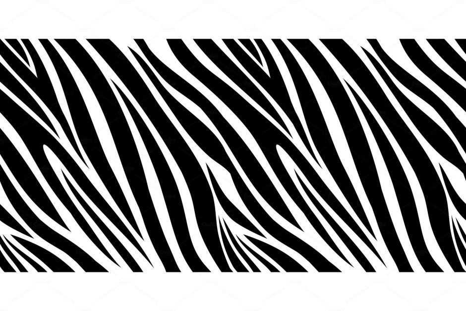 Pattern black and white zebra