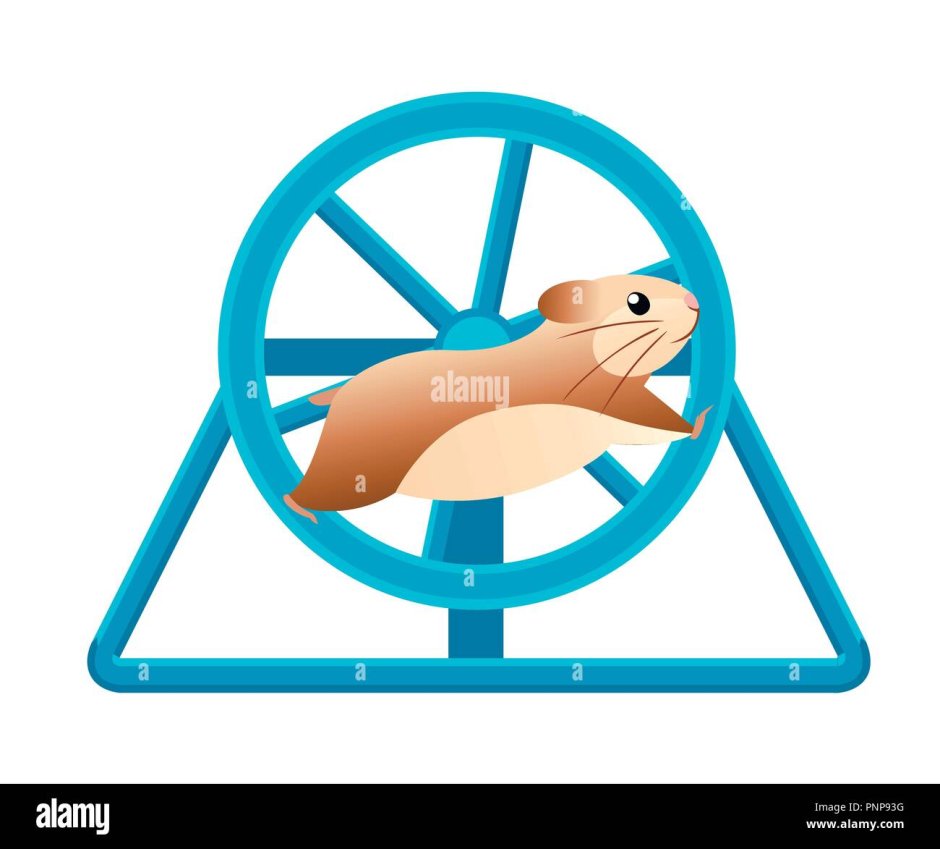 Hamster wheel desk