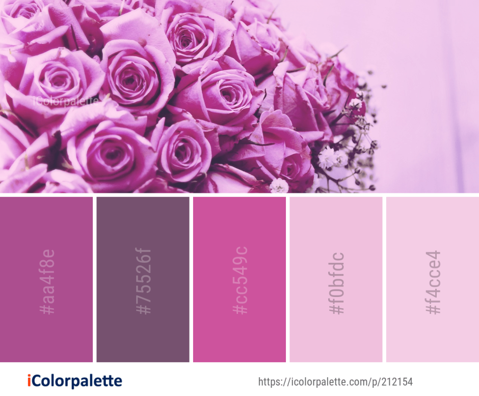 Purple color schemes