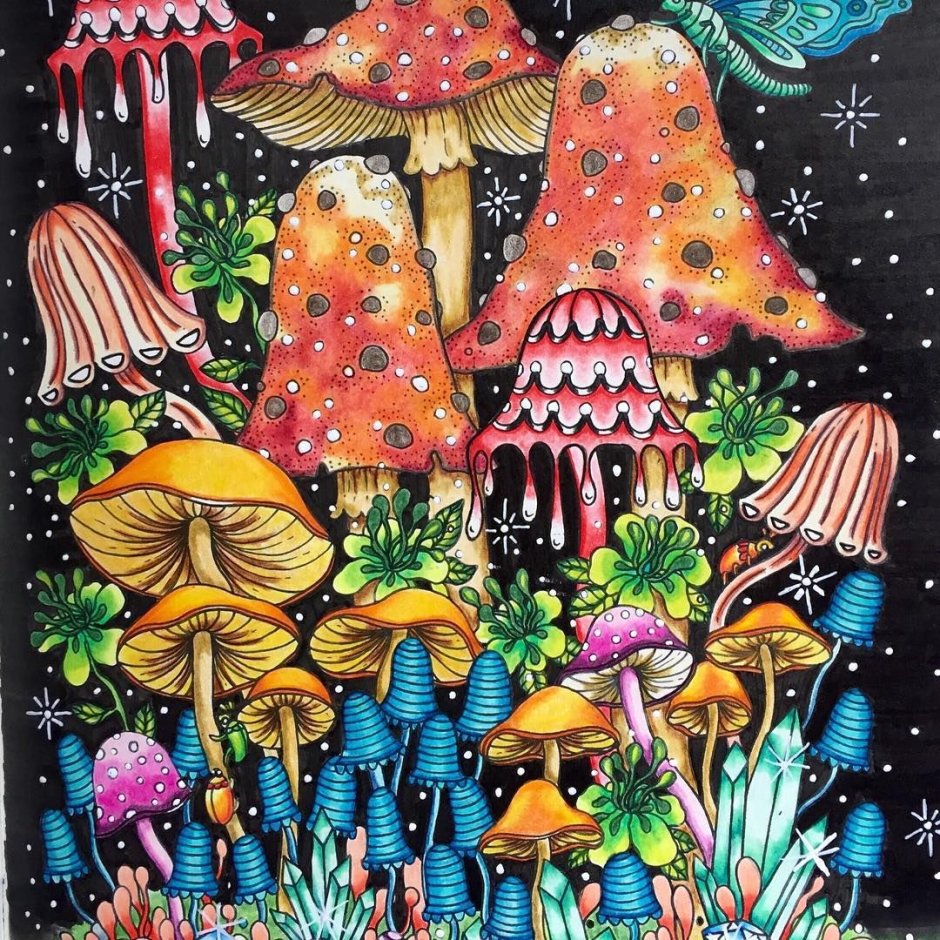 Lsd mushrooms