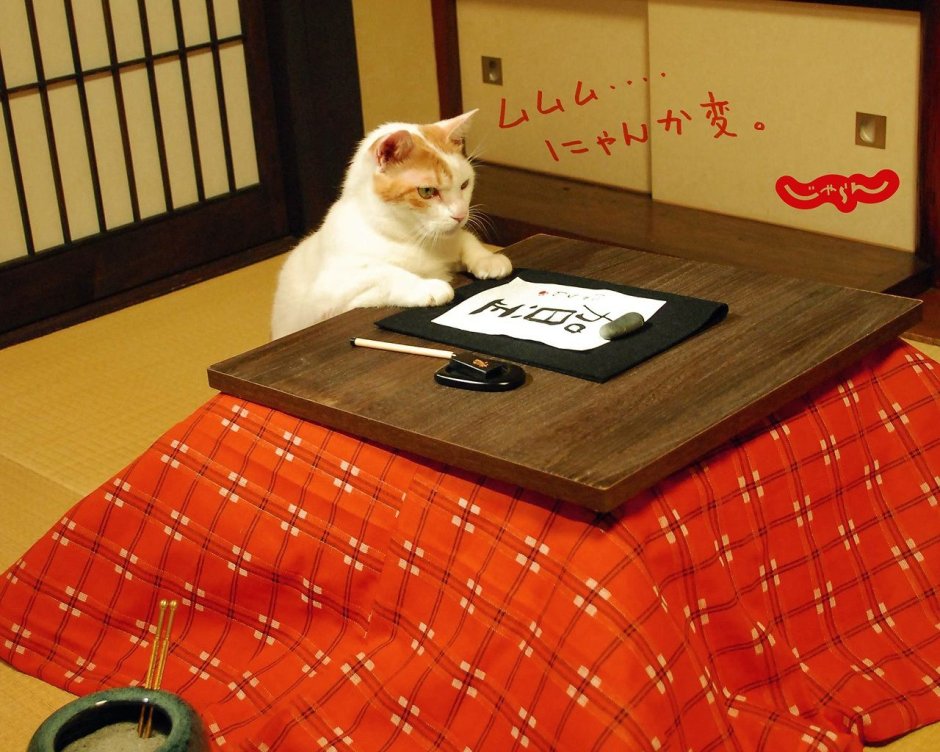 Under kotatsu