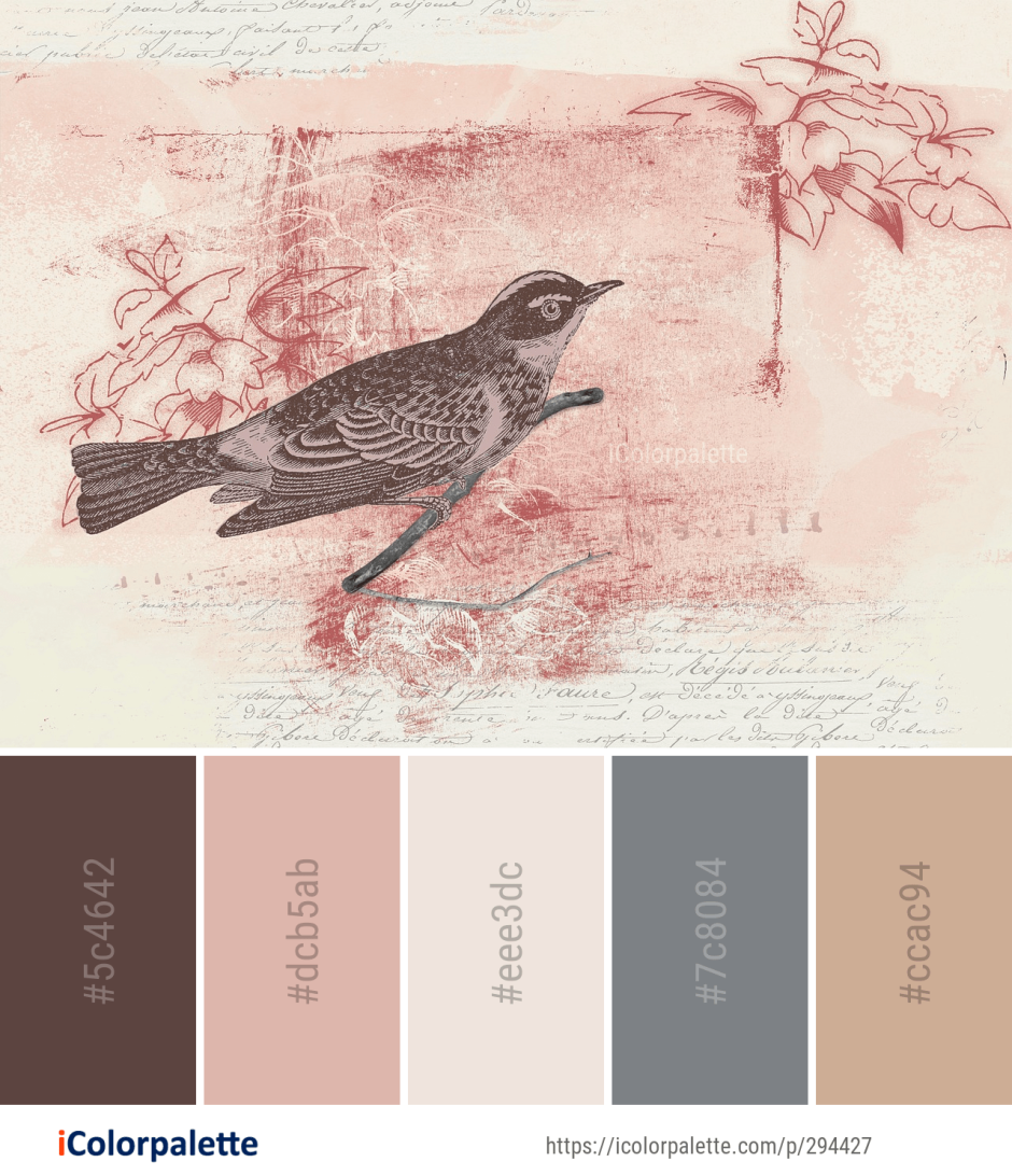 Birds color palette