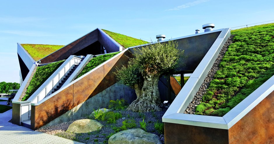 Sloping green roof