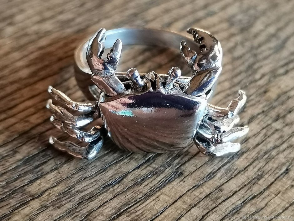 Buy Unisex Solid Silver Cancer Zodiac Crab Signet Pinky Ring Lobster Simple  Thick Ring Chunky Silver Thumb Ring Embossed Non Tarnish Jewelry Online in  India - Etsy